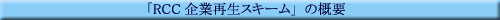 �uRCC��ƍĐ��X�L�[���v�̊T�v
